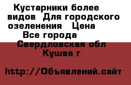 Кустарники более 100 видов. Для городского озеленения › Цена ­ 70 - Все города  »    . Свердловская обл.,Кушва г.